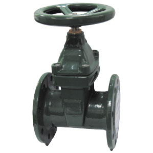 球墨铸铁弹性暗杆闸阀 DRGV-D